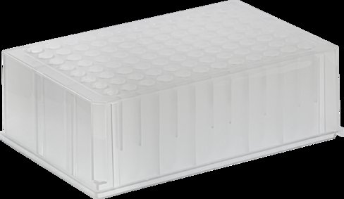 Bloc Round well x 20