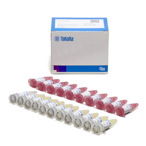 E. coli dh5a electro-cells 1 Kit