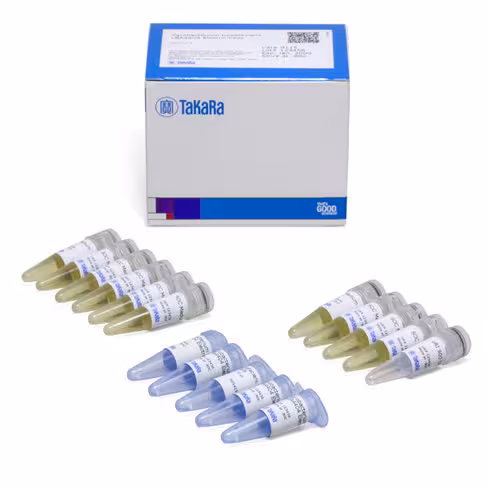 Cellules électrocompétentes agrobacterium tumefaciens lba4404 1 Kit