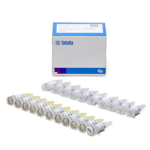 Cellules compétentes bl21 transformées avec pgro7 1 Kit