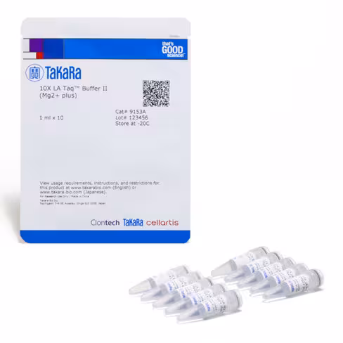Tampon 10x la taq (avec mg2+) 10 ml
