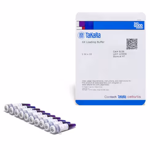 Tampon de chargement (6x) 1 Kit