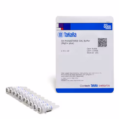 Tampon 5x primestar gxl (avec mg2+) 1 Kit