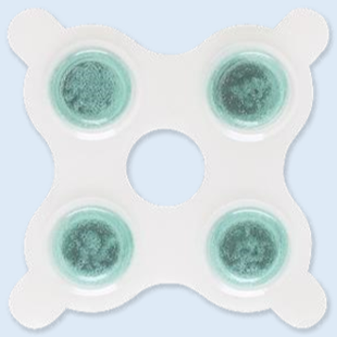 Electrode ECG Quadtrode - néonatale - 1 boîte de 25 1 boite de 25 électrodes