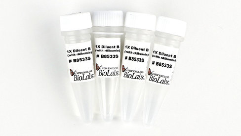 Diluent B (with rAlbumin) 5 ml