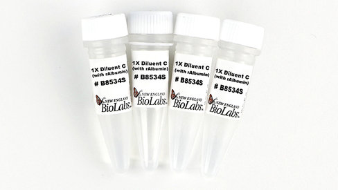 Diluent B (with rAlbumin) 5 ml