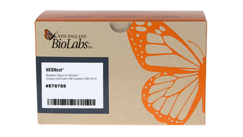 NEBNext Multiplex Oligos for Illumina (Unique Dual Index UMI Adaptors DNA Set 4) 96 réactions