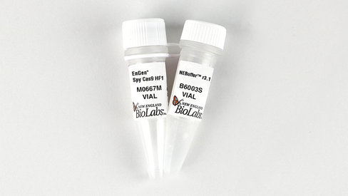 EnGen Spy Cas9 HF1 500 pmol