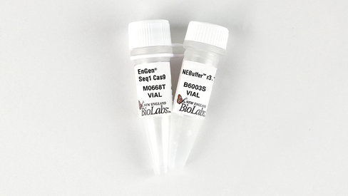 EnGen Seq1 Cas9 500 pmol