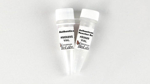 Authenticase 125 réactions