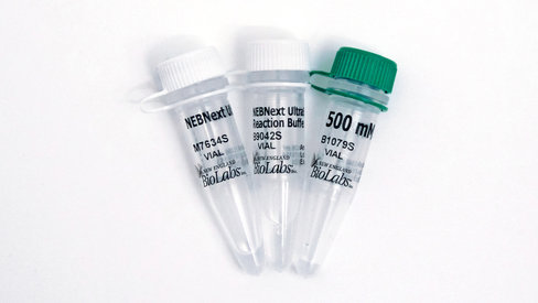 NEBNext UltraShear 24 réactions