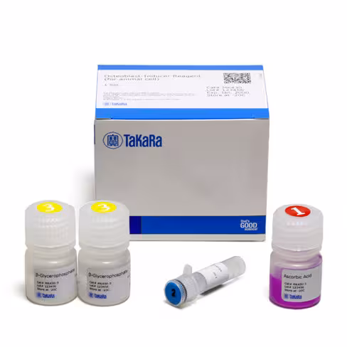 Réactif d induction osteoblast (pour cellules animales) 1 Kit