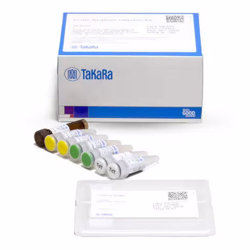 Kit de detection de l apoptose in situ 20 Tests