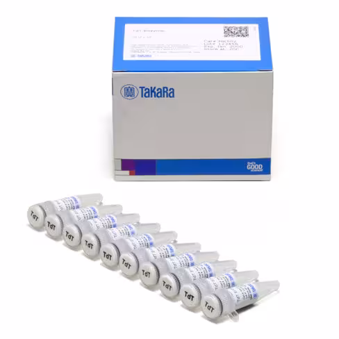 Enzyme tdt 1 µg