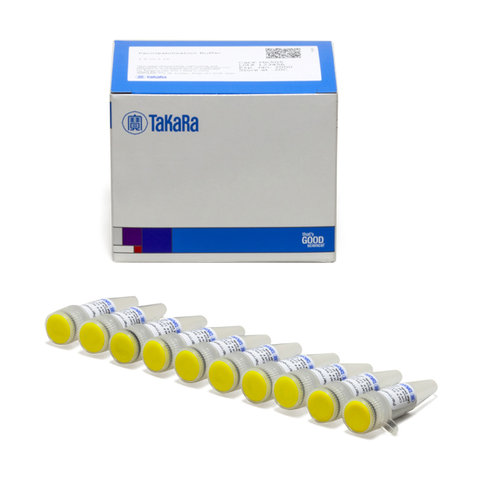 Tampon de permeabilisation 10 ml