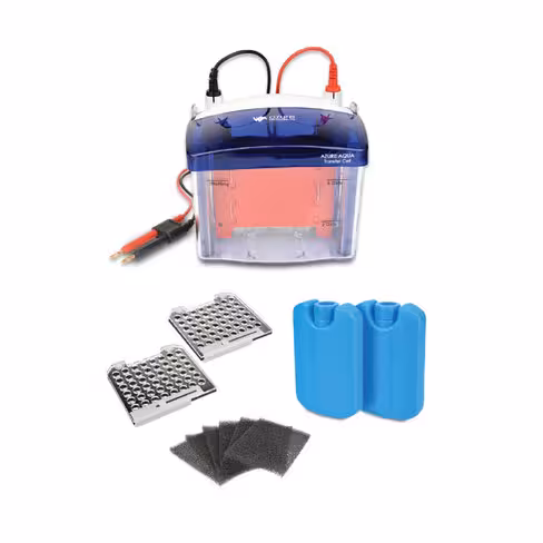 Station de blotting - Aqua Transfer Cell achat