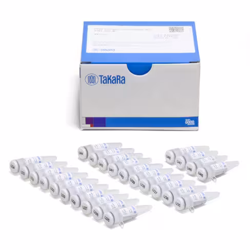 Kit smarter dna unique dual index - 24u set b compatibles illumina. 48 Réactions