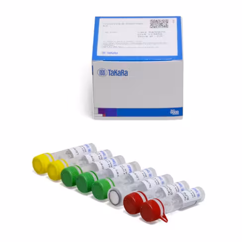 Smarter thruplex dna-seq: kit de préparation de librairie d adn 480 Réactions