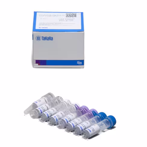 Kit thruplex tag-seq hv core components: kit de préparation de librairie de séquençage ngs avec umis 24 Réactions