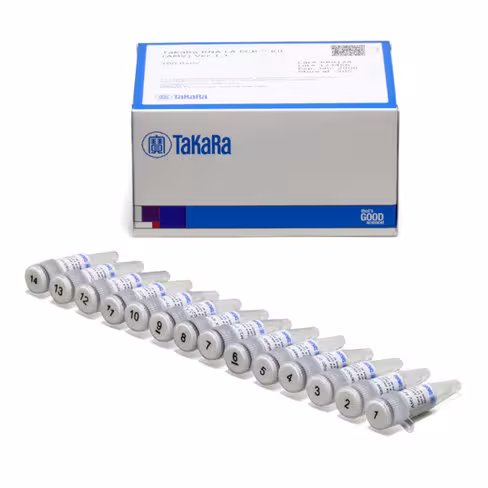 Takara rna la pcr kit (amv) ver.1.1 100 Réactions
