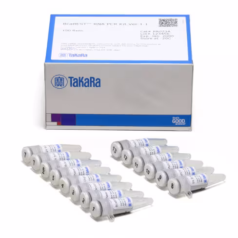 Bcabest rna pcr kit [2x rr023a] 200 Réactions
