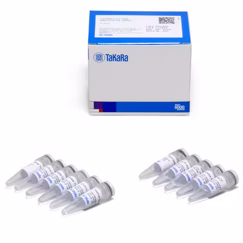 One step rna pcr kit 100 réactions