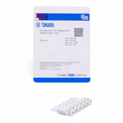 Primescript rt reagent kit (perfect real time) 200 Réactions