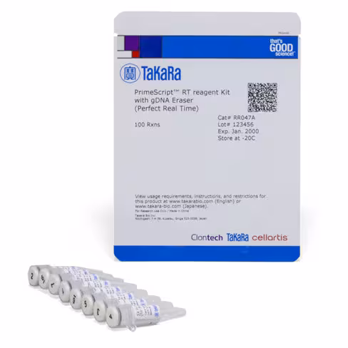 Primescript rt reagent kit with gadn eraser (perfect real time) 100 Réactions