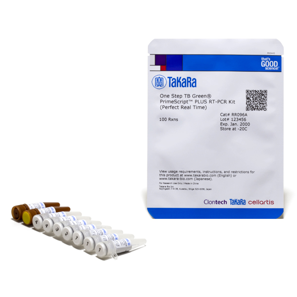 One step tb green primescript plus rt-pcr kit (perfect real time) 100 Réactions