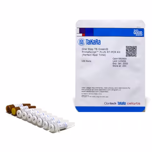One step tb green primescript plus rt-pcr kit (perfect real time) 100 Réactions