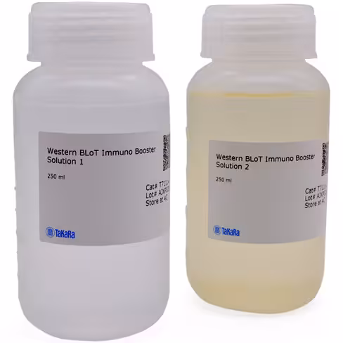 Western blot immuno booster 500 ml