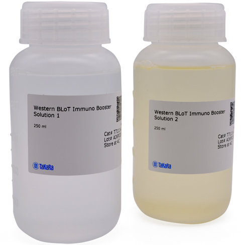 Western blot immuno booster 500 ml
