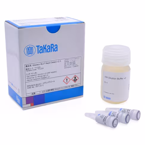 Western blot rapid detect v2.0 50 Réactions