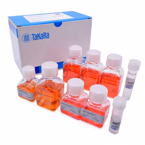 Kit cellartis de différentiation des hépatocytes 1 Kit