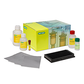 BPX Hu IgG SARS-CoV2, N/RBD/S1/S2, 4-plx