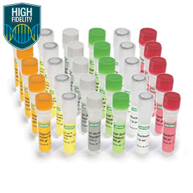 IScript Select cDNA Synthesis Kit 500 réactions