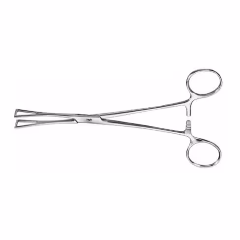 Pince préhension intestinale Collin