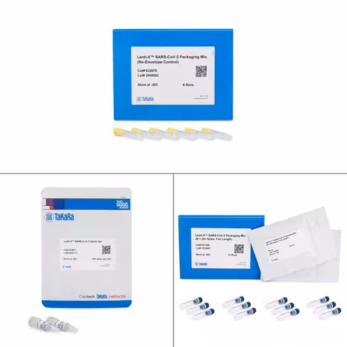 Lenti-X SARS-CoV-2 Packaging Single Shots, doses uniques (Spike B.1.351, pleine longueur), 12 réactions