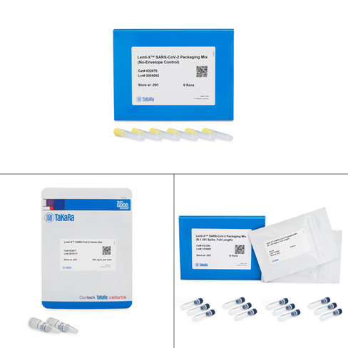 Lenti-X SARS-CoV-2 Packaging Single Shots, doses uniques (Spike B.1.351, pleine longueur), 12 réactions