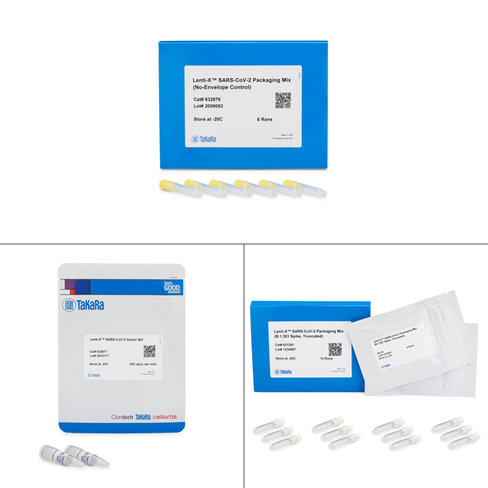 Lenti-X SARS-CoV-2 Packaging Single Shots, doses uniques (Spike B.1.351, tronquée), 12 réactions