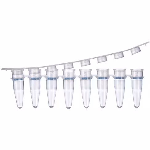 Barrette de 8 microtubes PCR 0,2 ml avec bouchons en dôme x 200