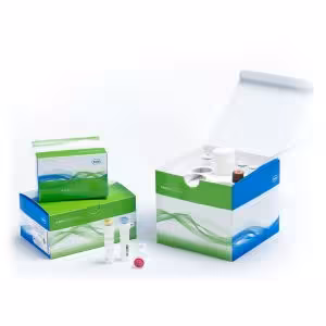 Library Quantification Kit (Illumina/BioRad)