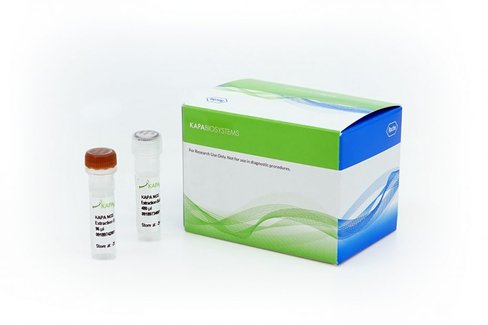 KAPA NGS DNA Extraction Kit, 96 réactions