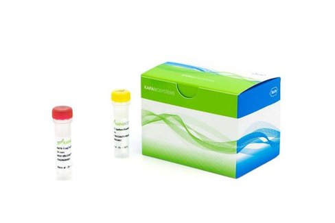 KAPA EvoPlus Kit (PCR-free), 96 well plate