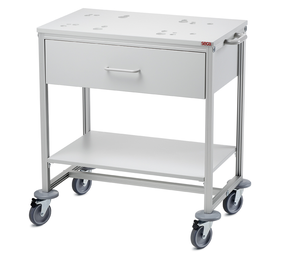 Chariot mobile seca 403