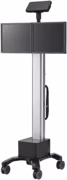 Ecran 19P déporté sans Fil Sur Pied