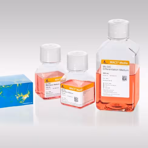 Mo-DC Differentiation Medium human/400 mL