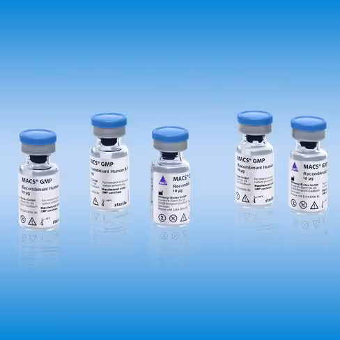 MACS GMP Recombinant Human SCF/100 µg