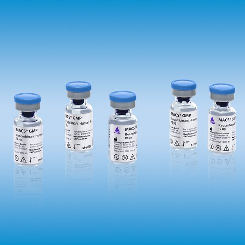 MACS GMP Recombinant Human SCF/100 µg