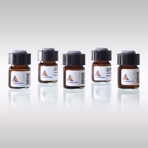 DAPI Staining Solution/1 mL